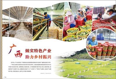 廣西 做實(shí)特色產(chǎn)業(yè)，激發(fā)農(nóng)產(chǎn)品生產(chǎn)活力，助推鄉(xiāng)村振興