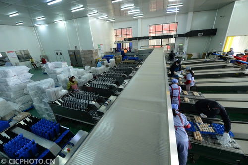 太倉(cāng)農(nóng)產(chǎn)品生產(chǎn)穩(wěn)定，市場(chǎng)供應(yīng)有保障