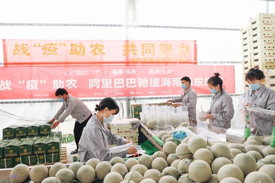 愛(ài)心助農(nóng)打通產(chǎn)銷(xiāo)路，阿里巴巴“搶收”滯銷(xiāo)農(nóng)產(chǎn)品直供北上廣