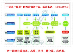 帝一網(wǎng)絡(luò) 專業(yè)網(wǎng)頁設(shè)計(jì)與網(wǎng)站建設(shè)公司的卓越之選
